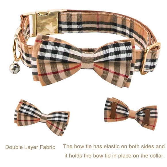 Dog Collar - Picture 1 of 2